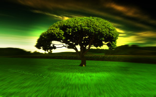 Tree field green sky green - a green sky in the background free wallpaper