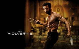 Man wolverine costume wolverine stick - neo free wallpaper
