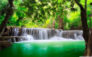 Waterfall forest green water trees 2 - a waterfall in a forest free wallpaper