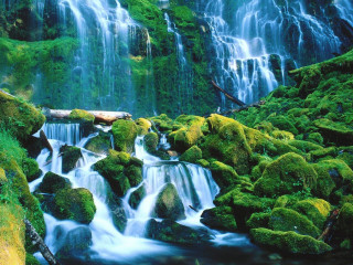 Waterfall moss rocks water log 5 - moss free wallpaper