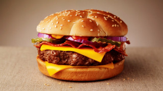 Hamburger cheese delicious food restaurant - a hamburger free wallpaper