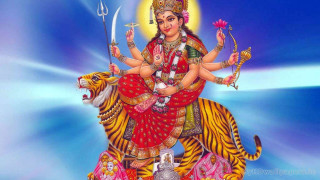 Person riding tiger sword crown - a tiger free wallpaper for desktop