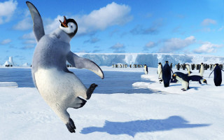 Jumping penguin background group snow - a penguin free wallpaper