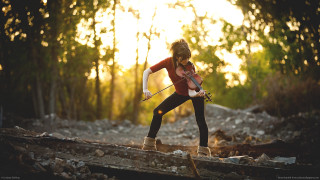 Woman violin log woods sunset - a woman playing free wallpaper