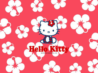 Hello kitty wallpaper flowers cat - kitty free wallpaper