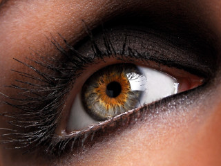 Woman eye brown yellow iris - realistic eye free wallpaper