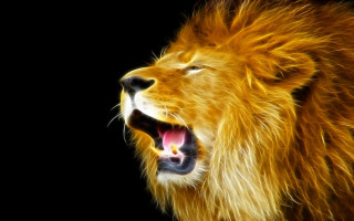 Lion open mouth photorealistic lyco - mouth wide open free wallpaper