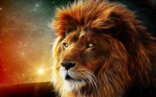 Lion red mane yellow eyes 2 - sky in the background free wallpaper