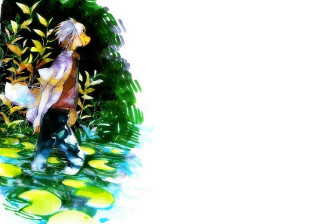 Woman walking pond water duck - a pond of water free wallpaper