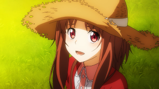 Girl hat field grass background - the background and grass free wallpaper