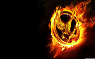 Bird flying fire circle black 2 - a white border free wallpaper