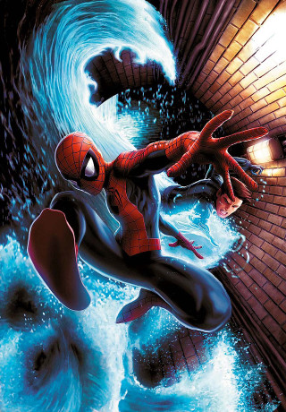 Spider man water arms out - a spider free wallpaper for mobile