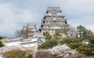 Tall tower clock trees bushes - a tall tower free wallpaper for desktop