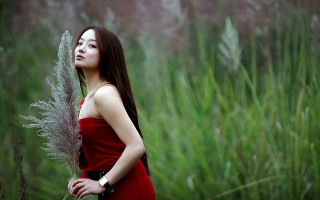 Woman red dress field tall - chen yifei free wallpaper