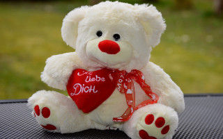 White teddy bear red heart - a white teddy bear free wallpaper