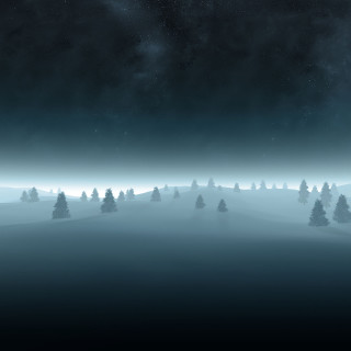 Night sky stars trees foreground 6 - free winter wallpaper for tablet