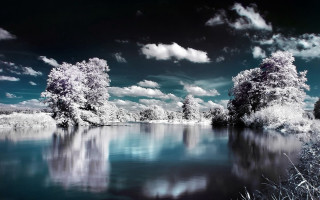 Lake trees clouds blue sky 7 - white cloud free wallpaper for desktop