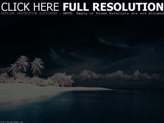 Beach palm trees clouds black - here full resolution free wallpaper