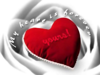 Heart message white rose red - a message free wallpaper