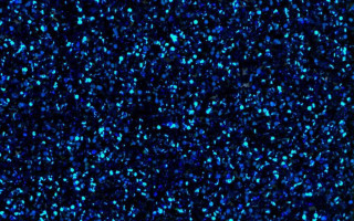 Black background blue speckles hologram - kinetic pointillism free wallpaper