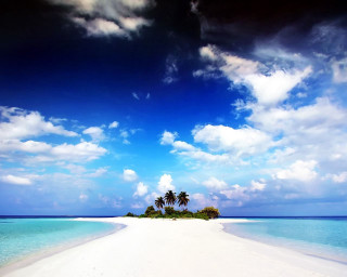 Deserted beach palm tree clouds - beach free wallpaper