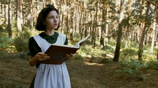 Woman dress reading book woods - in the wood free wallpaper