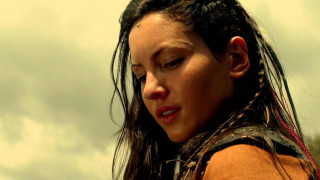 Woman long hair brown shirt - a braid free wallpaper