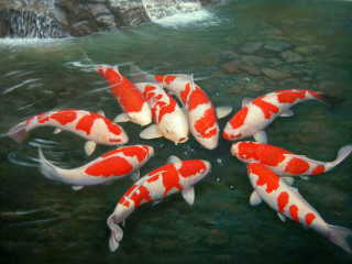 Koi fish swimming pond waterfall 3 - oil painting free wallpaper