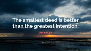 Smallest seed greatest intention john 2 - better free wallpaper for desktop