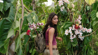 Woman walking lush green forest - a backpack free wallpaper