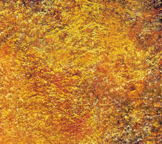 Yellow brown leaves painting black - the edge free wallpaper for tablet