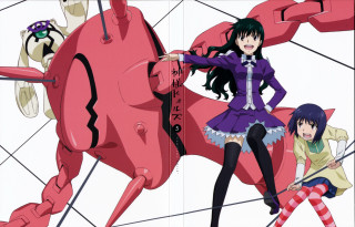 Woman pink horse girl sitting - destructive free wallpaper