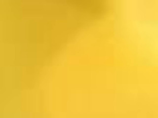 Yellow background cat top cat - cat free wallpaper