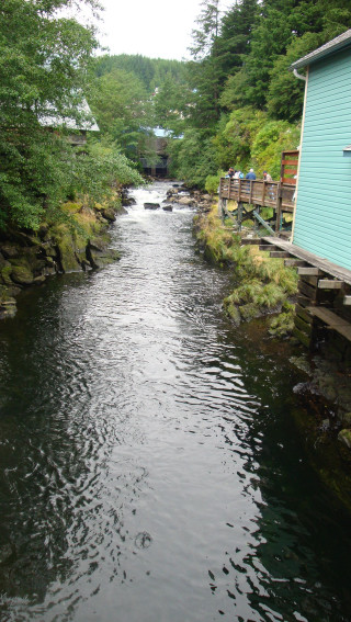 River forest trees people dock - free summer wallpaper for mobile