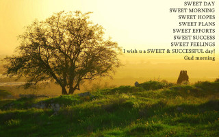 Tree hill sweet morning hopes - sweet free wallpaper