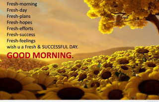 Sunflower field good morning quote - good morning free wallpaper