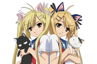Blonde girls cat anime doll - their shoulder free wallpaper for desktop