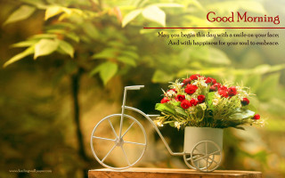 Small bicycle flowers vase morning - a good morning message free wallpaper