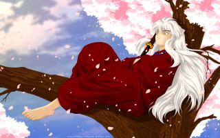 Woman red dress sitting tree - fabien charuau free wallpaper
