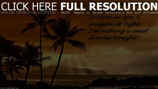 Sunset palm trees poem quote 2 - a picture of a sunset free wallpaper