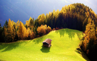 Cabin field trees mountains background - a shadow of a tree free wallpaper