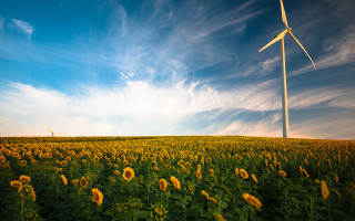 Sunflowers wind turbine blue sky - solarpunk free wallpaper