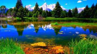 Lake trees mountains blue sky 7 - tree and mountains free wallpaper for desktop