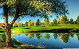 Golf course pond trees green 2 - a pond and trees free wallpaper
