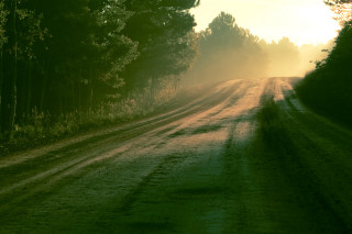 Dirt road trees grass sunset - both side of it free wallpaper
