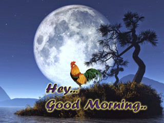 Rooster island fullmoon tree message - small free wallpaper