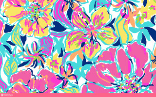 Colorful flower pattern pink blue - a pink border free wallpaper