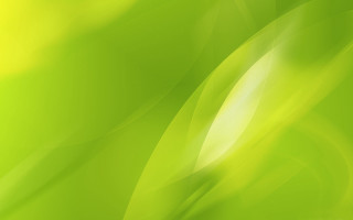 Green background blurry light shadow - objective abstraction free wallpaper for desktop