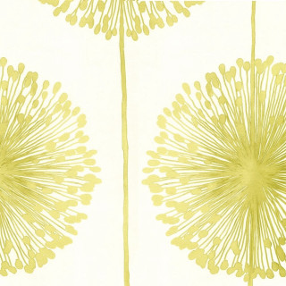 Yellow white wallpaper flower design - a flower design free wallpaper for tablet