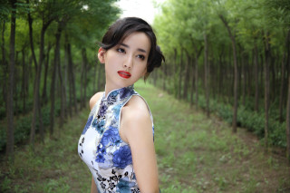 Woman dress forest trees path 2 - the background and a path free wallpaper